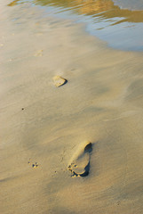 Footprints