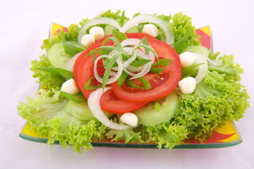 Fresh salad with onion tomato and basil
