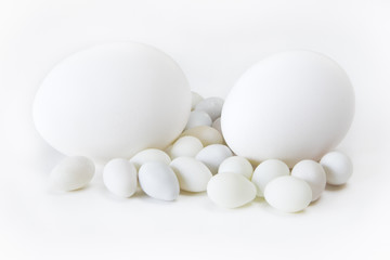 Eggs with White Background