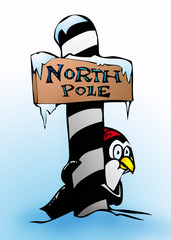 Pinguin am Nordpol
