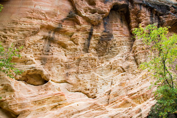 Erosion of Rock in Zion National Park