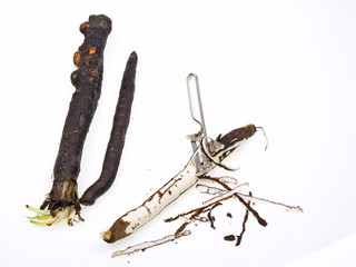 schwarzwurzeln gemüse