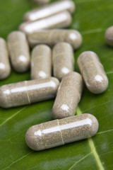 Vitamin tablets on a green leaf