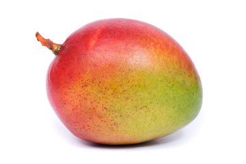 Mango  (Mangifera)
