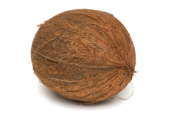 Coconut  (Cocos nucifera)