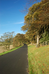 Fototapeta premium Woodlad Road, Scarborough