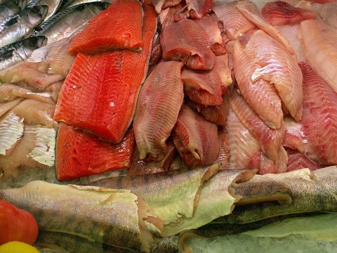fischfilets