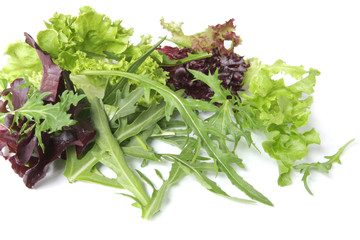 Salad Leaves