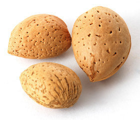 Almonds in closeup
