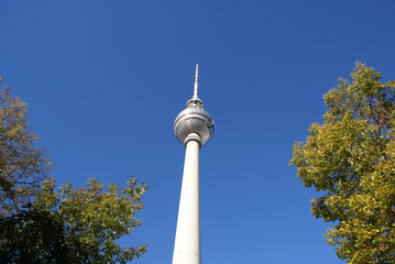 Tv tower with trees