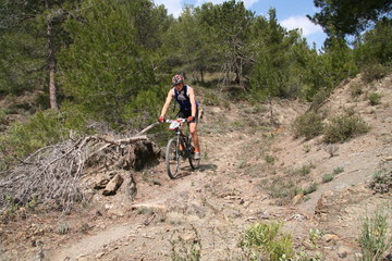 Obraz premium VTT nature