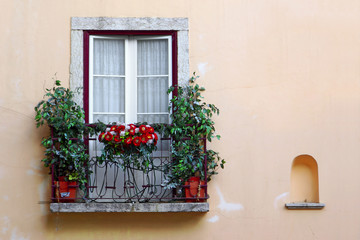 Fototapeta premium Flowery Balcony