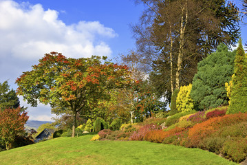 Naklejka premium English country garden in Autumn