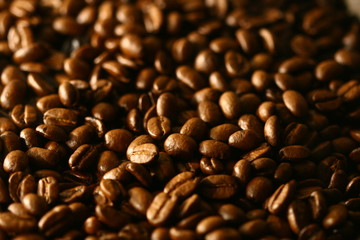 Grains of coffee