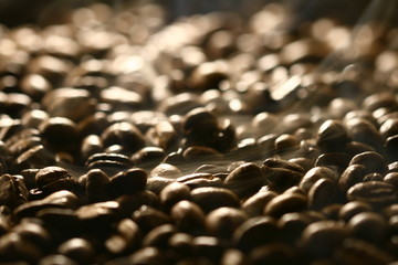 Obraz premium Grains of coffee