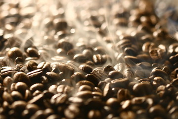 Grains of coffee