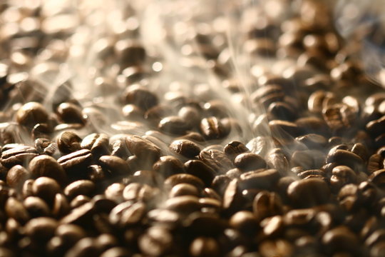 Fototapeta Grains of coffee