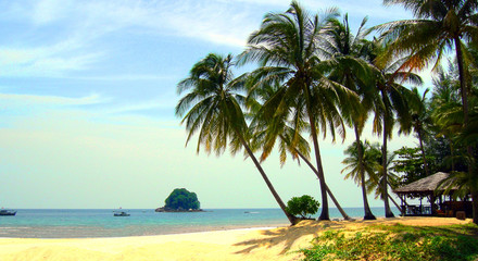 palm beach coast