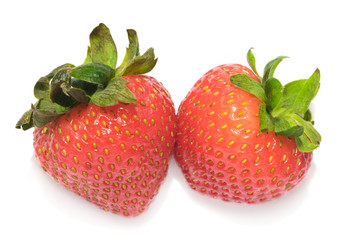 Strawberries isolated with white background 3