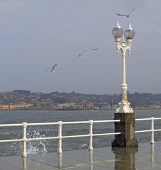 Farola, oleaje y gaviotas
