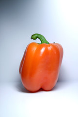 Orange Bell Pepper