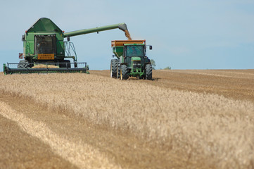 Obraz premium moisson des blés