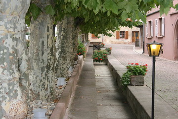 Caniveau dans le village de Bergheim (Alsace)