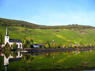 Weinort an der Mosel