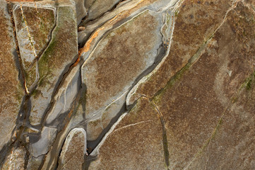 Abstract background #06