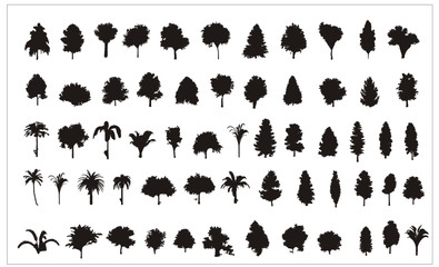 siluetas de arboles en vector