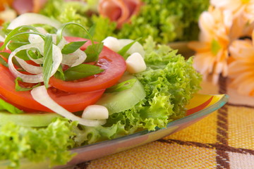 Fresh salad with onion tomato and basil