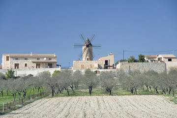 molino © juanjo