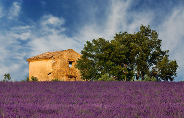 Old barn in Provence - 4968354