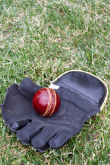 Wicket keeping gloves.