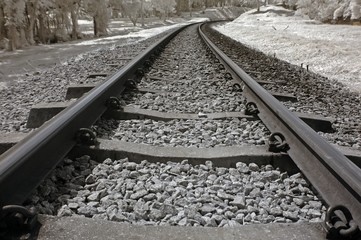 Naklejka premium Infrared photo – tree and railway track in the parks 