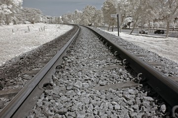 Infrared photo – tree and railway track in the parks 