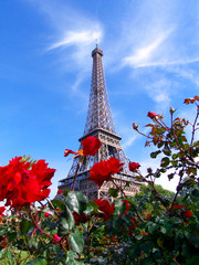 Roses rouges et Tour Eiffel, Paris, France