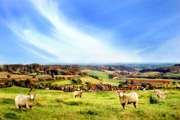 Obraz premium Rural Scenery in Somerset, England.