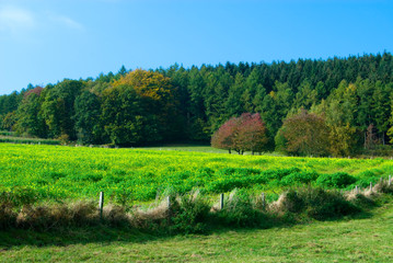 countryside landscape