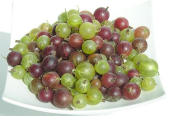 red and green gooseberry fruits