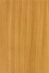 Close-up wooden HQ (Beech Bavaria) texture to background
