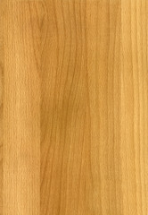Close-up wooden Beech natural texture