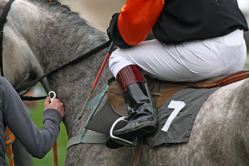 horse and jockey at race-course, getting ready for the start