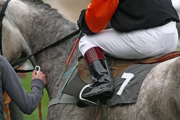 Photo sur Plexiglas Léquitation horse and jockey at race-course, getting ready for the start