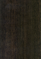 Close-up wooden HQ Live Оak texture