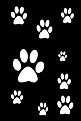 dog footprints