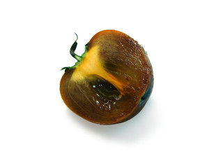 persimmon