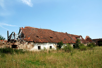 Abandoned homestead in ruins