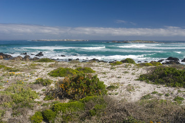 Fototapeta na wymiar Western Cape coastline, South Africa