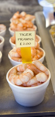 tiger prawns